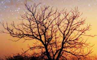 劝你冷静三秒：新澳彩资料这类内容背后常见钓鱼链接：看似小事，其实是关键