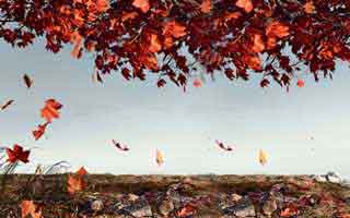 你以为爱游戏只是个入口，其实它可能在做仿站分流：10秒快速避坑