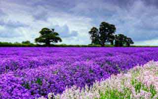 朋友圈刷屏的新澳门六合彩截图，可能暗藏个人信息采集表单：越早止损越省心