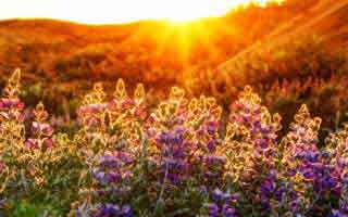 爱游戏体育app的换皮页常用伪装法，我用一句话讲清