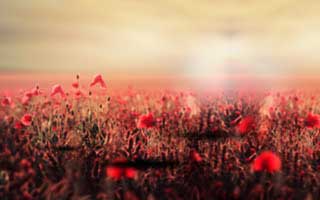 爱游戏体育app这条小技巧太冷门，却能立刻识别钓鱼链接